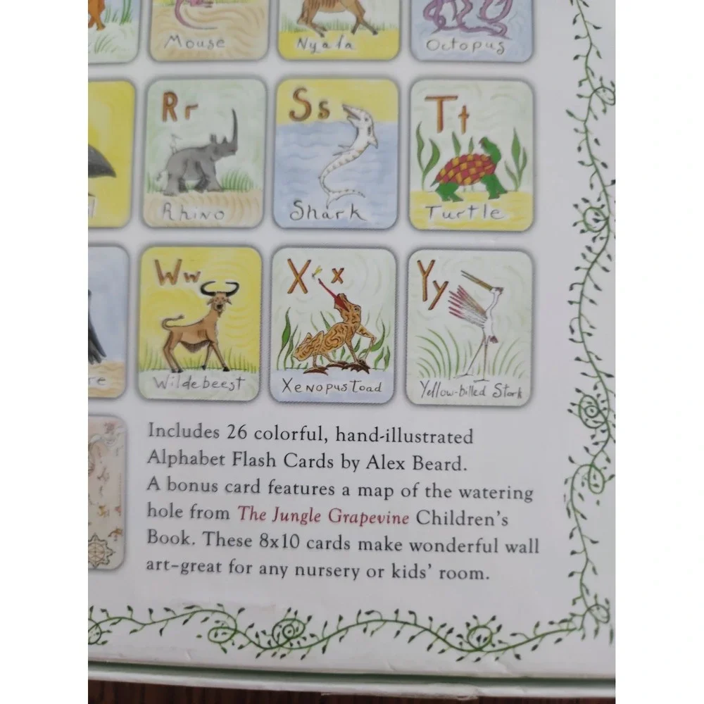 8x10 Alphabet Flash Cards Based On Children's Book The Jungle Grapevine / Beard